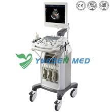 Doppler couleur de machine à ultrasons de chariot 3D médical Ysb-Q3